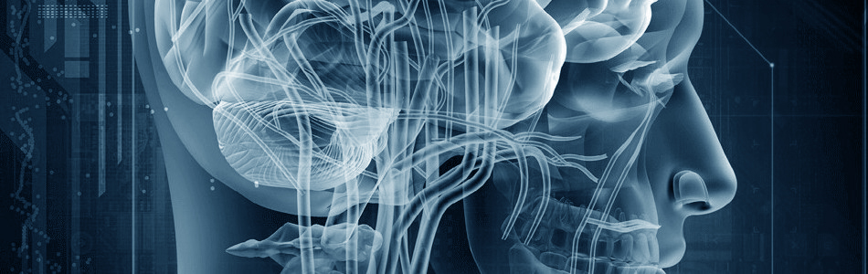 Medical imaging — neural visualisation